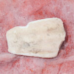 Samudri Jhaag - Image 3