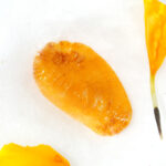 Shukra Mani - Image 2