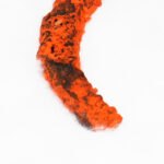 Kaale Ghode Ki Naal - Image 3