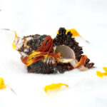 Shani Rakshak - Image 2